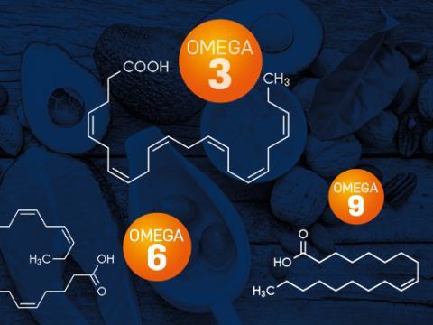 Omega 3 Pileje Micronutrition