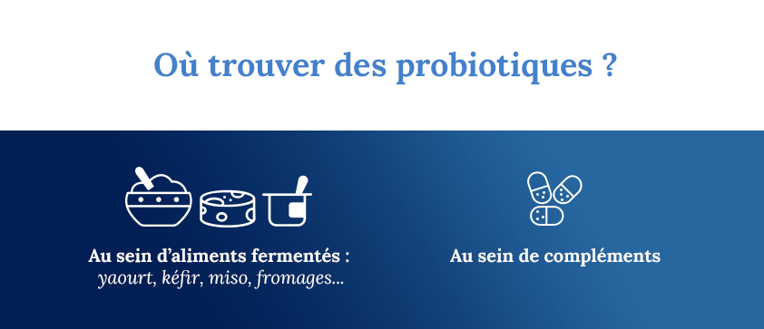 PiLeJe  Les bénéfices des prébiotiques sur la santé