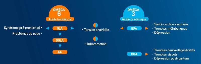 Le Role Specifique Des Omega 3 De Type Epa Et Dha Pileje