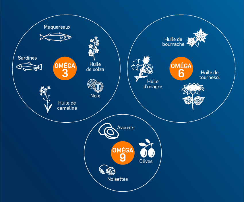 Les acides gras oméga 3  Anses - Agence nationale de sécurité