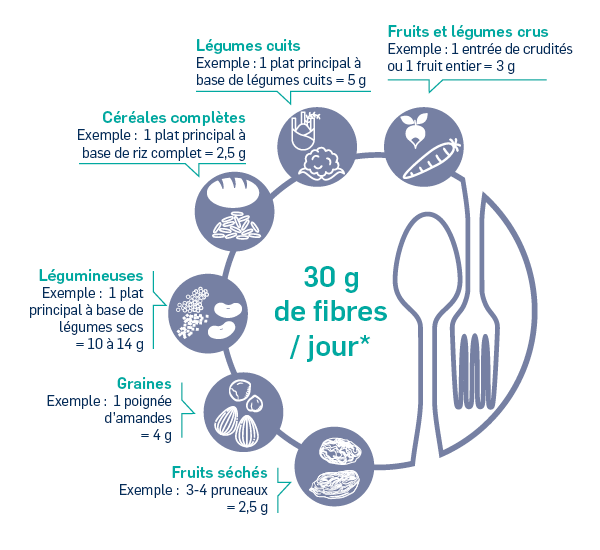 Fibres alimentaires: Comment fonctionnent-elles?